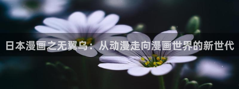 香蕉漫画免费登录入口官网：日本漫画之无翼乌：从动漫走向漫画世界的新世代
