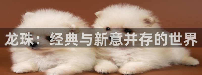 香蕉漫画在线漫画网页：龙珠：经典与新意并存的世界
