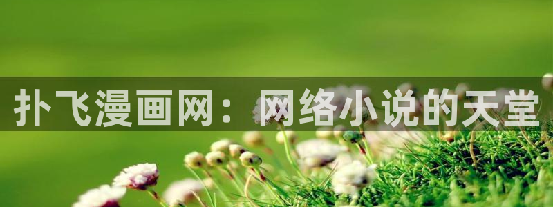 香蕉文化漫画全集：扑飞漫画网：网络小说的天堂