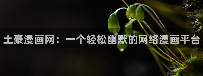 香蕉漫画免费阅读在线：土豪漫画网：一个轻松幽默的网络漫画平台