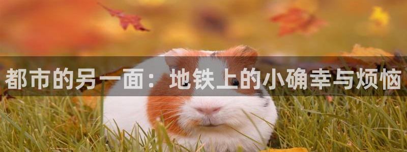 韩国香蕉漫画在线观看：都市的另一面：地铁上的小确幸与烦恼