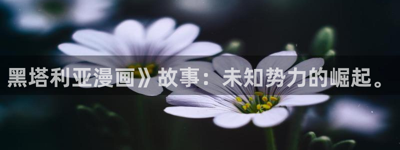 香蕉文化漫画平台：黑塔利亚漫画》故事：未知势力的崛起。