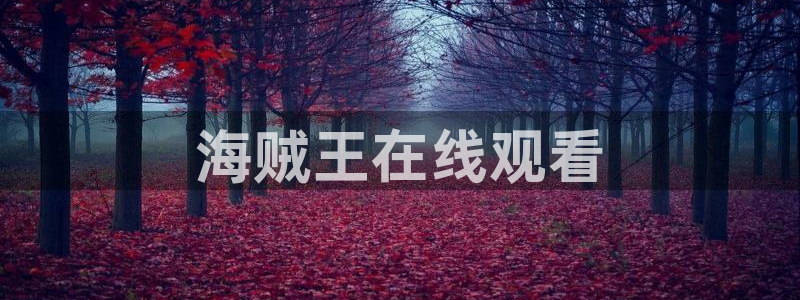 香蕉文化漫画网站入口：海贼王在线观看