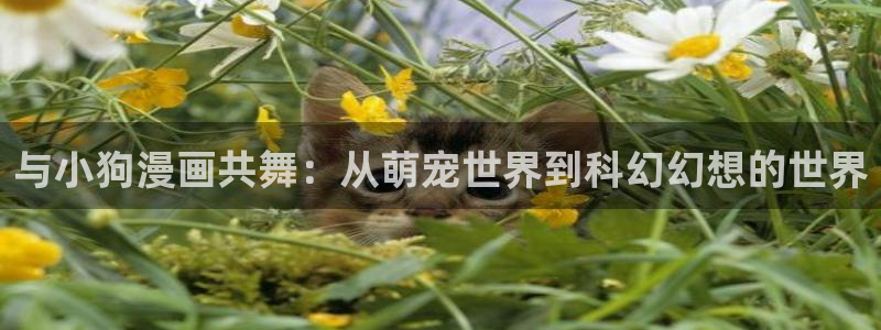 香蕉漫画免费观看下拉式：与小狗漫画共舞：从萌宠世界到科幻幻想的世界
