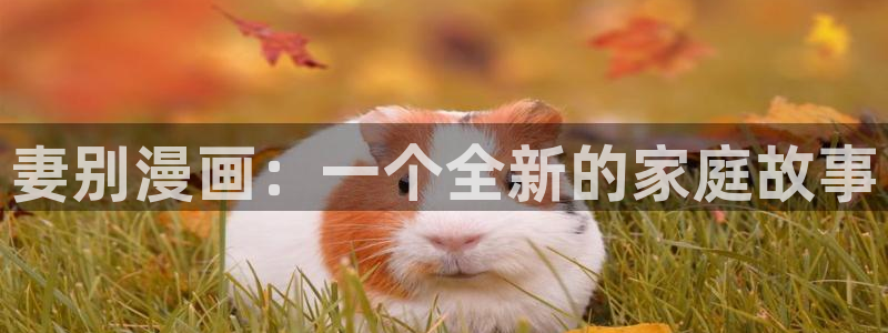 香蕉漫画小说下拉式更新：妻别漫画：一个全新的家庭故事
