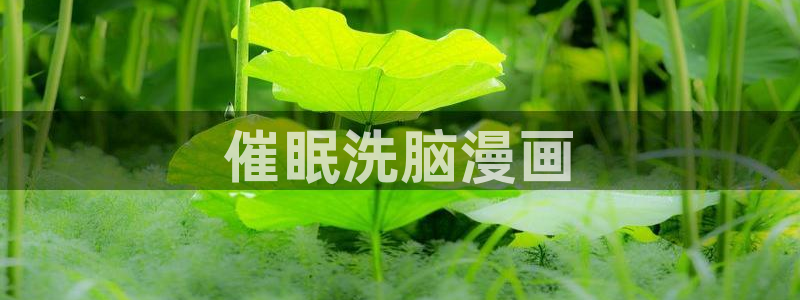 香蕉漫画会员免费：催眠洗脑漫画