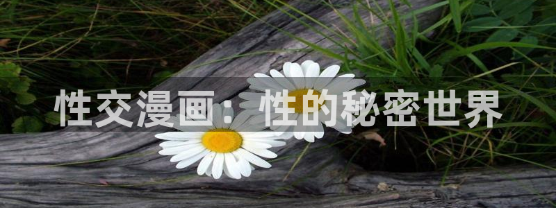 香蕉文化漫画vip：性交漫画：性的秘密世界